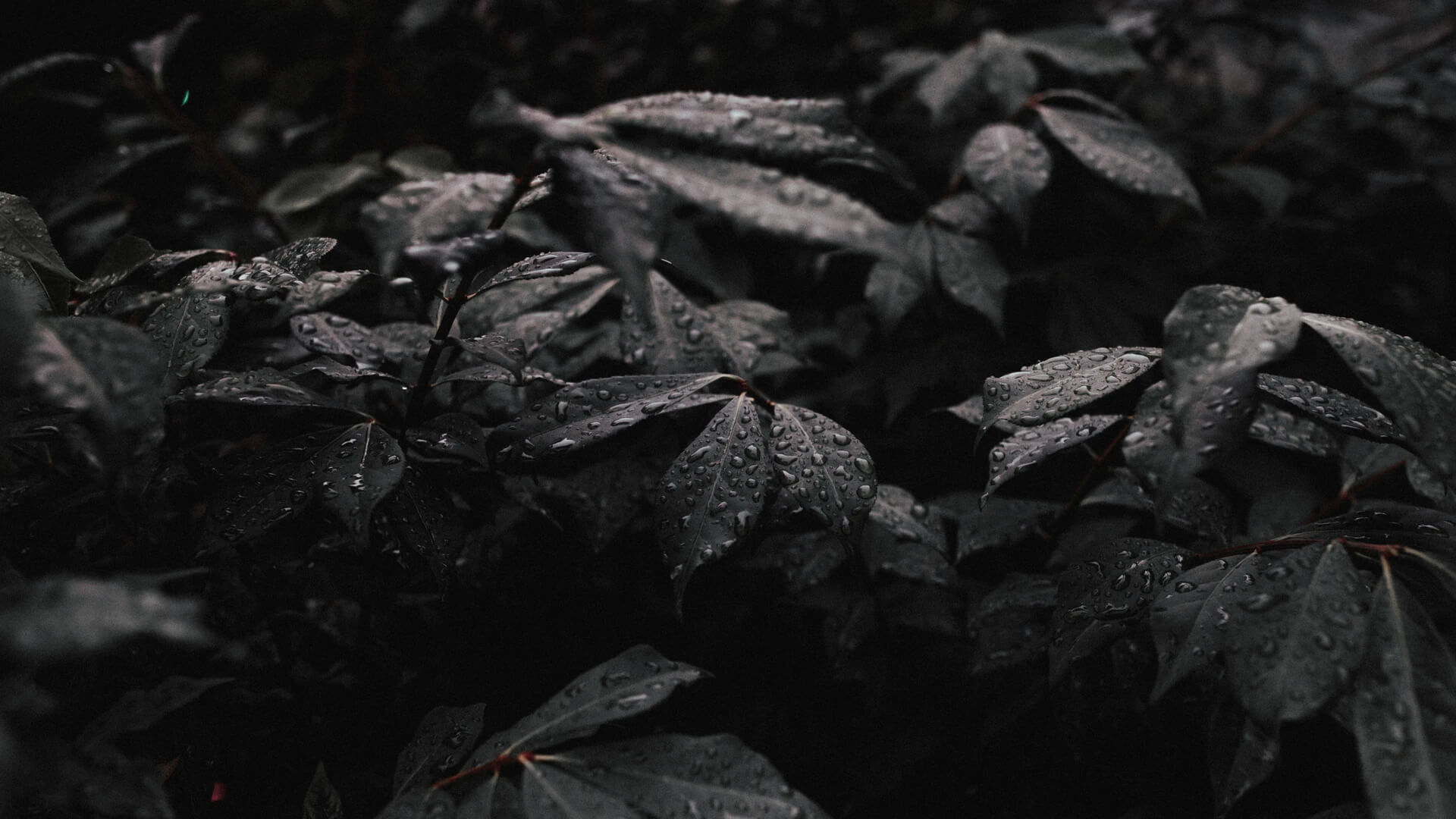 Call to Action Background